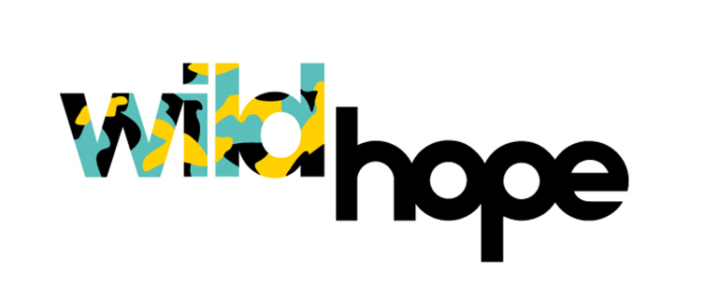 Wild Hope sub-brand logo design option. Bespoke drawn letterforms